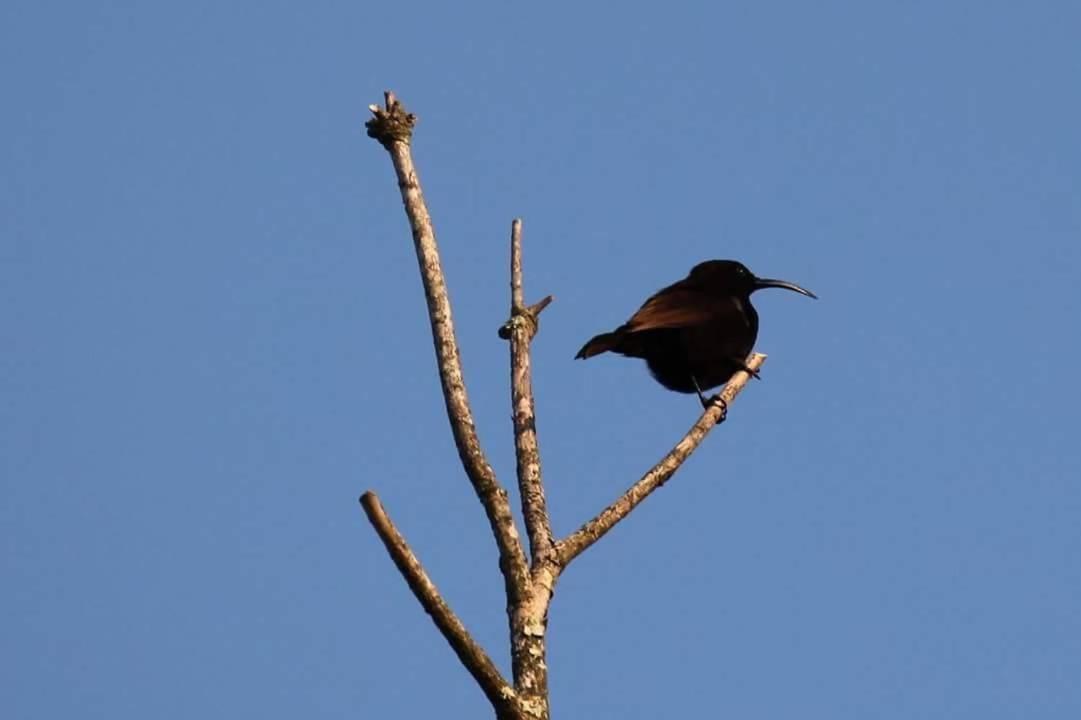 Fish Eagle Manor Bed & Breakfast East London Luaran gambar